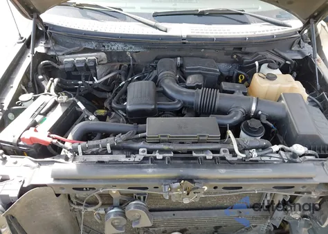 2010 Ford F-150 Fx4/Harley-Davidson/King Ranch/Lariat/Platinum/Xl/Xlt z USA, uszkodzony, nr VIN 1FTFW1EV0AFB82588